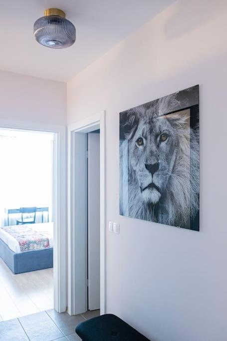 Tokiyo: A Lovely City Center 2 Bedrooms Apartment With Private Parking Sófia Exterior foto